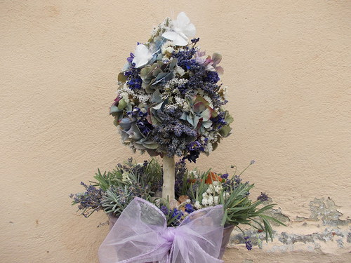 Sen o stromu v Provence — foto 5