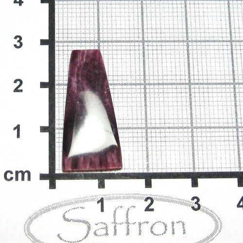 Spondylus - kabošon č.6 — foto 2