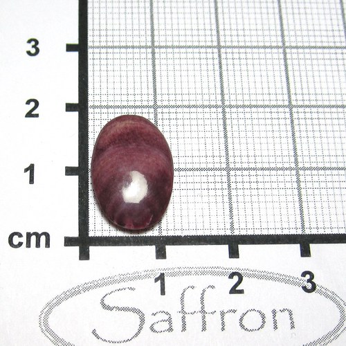 Spondylus - kabošon č.13 — foto 2