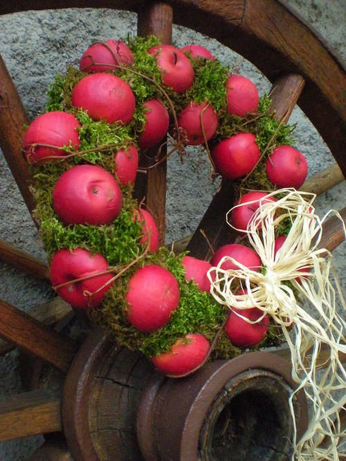Frňákovník — foto 2