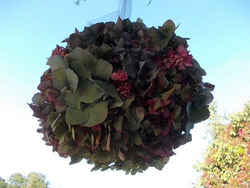 Hortenziové koulení — foto 2