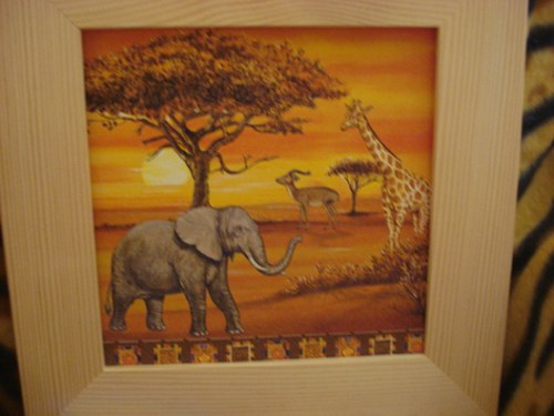 Africký ° — foto 3