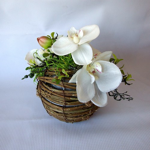Bílá orchidej — foto 2