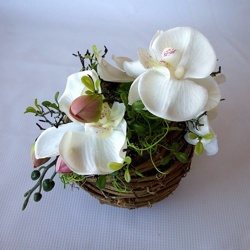 Bílá orchidej — foto 3