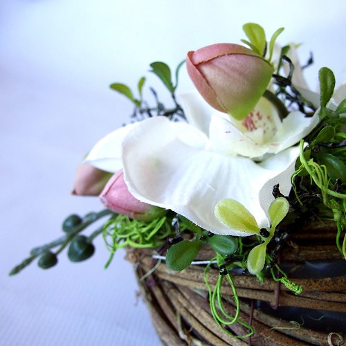 Bílá orchidej — foto 4