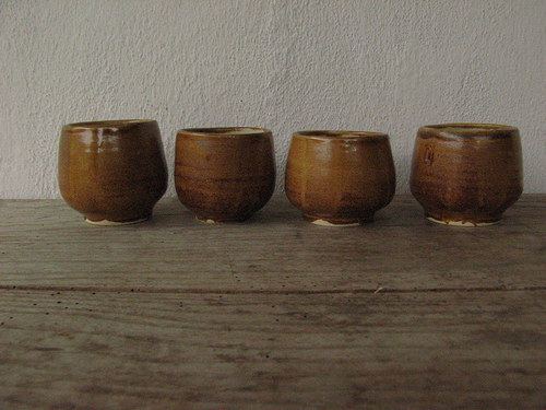 Čajová hnědá — foto 2