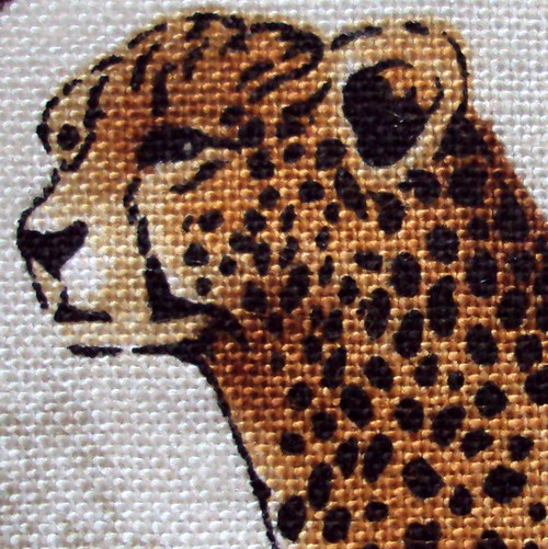 Safari III. — foto 2