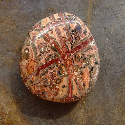 Jaspis Leopardí — foto 2