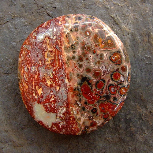 Jaspis Leopardí — foto 2