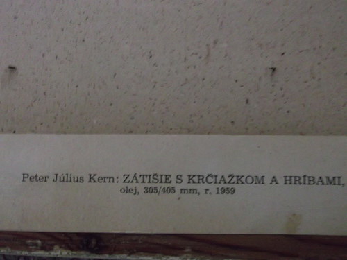 Houby — foto 2