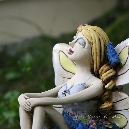Bleděmodrá víla — foto 2