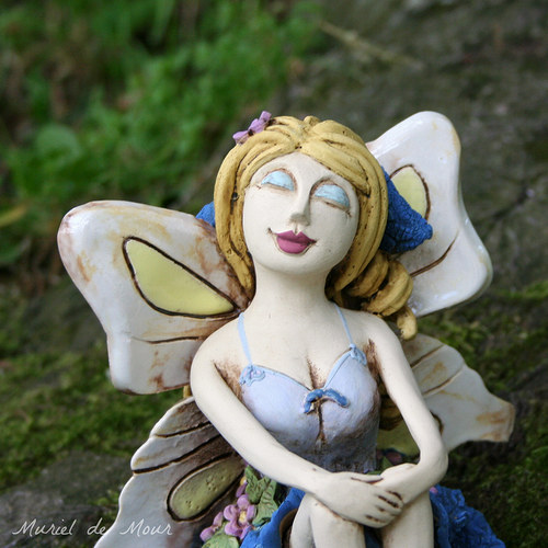 Bleděmodrá víla — foto 6