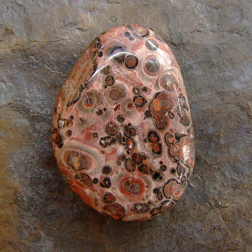 Jaspis Leopardí — foto 2