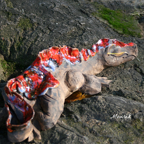 Ohnivý drak — foto 3