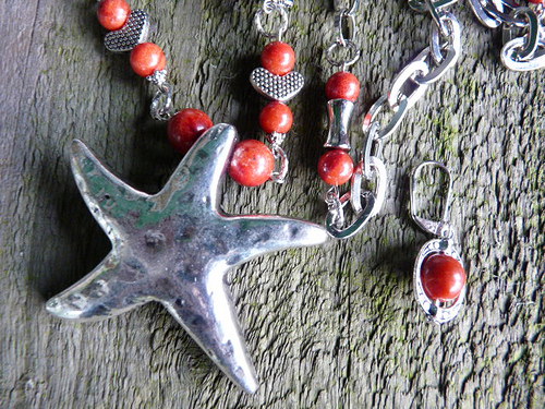 Korálová hvězdice — foto 3