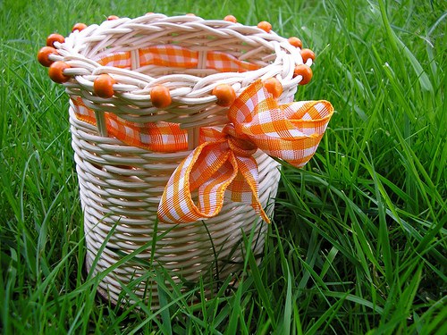 Tužkovník, pastelkovník.. :) — foto 2