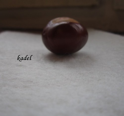 Sakon — foto 2