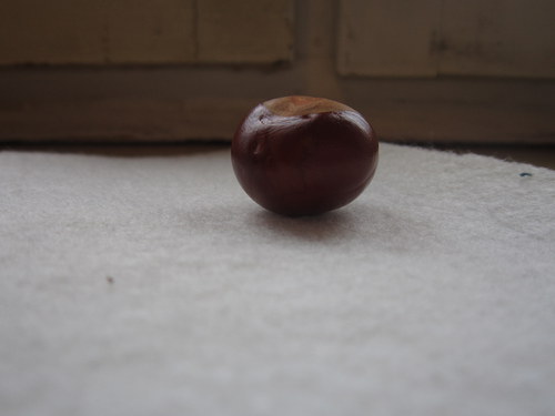 Sakon — foto 3