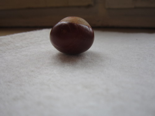 Sakon — foto 5