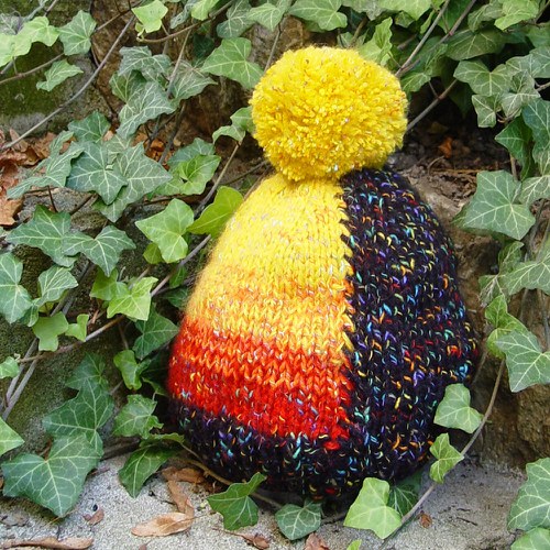 SLUNÍČKO NA HLAVĚ :-) - kulich — foto 4