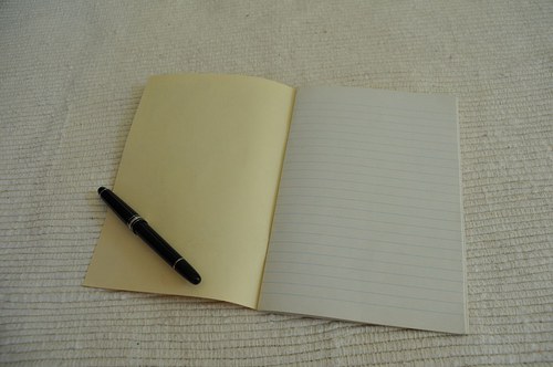 Le cahier - velbloudi — foto 2