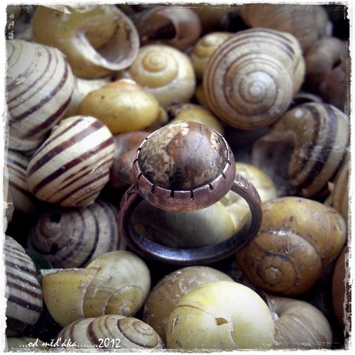 Mimikry...............II — foto 2