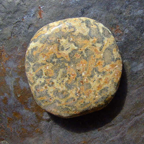 Jaspis Leopardí — foto 2