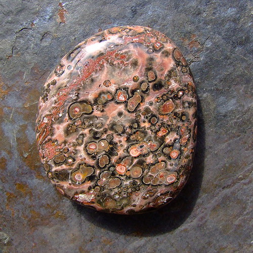 Jaspis Leopardí — foto 2