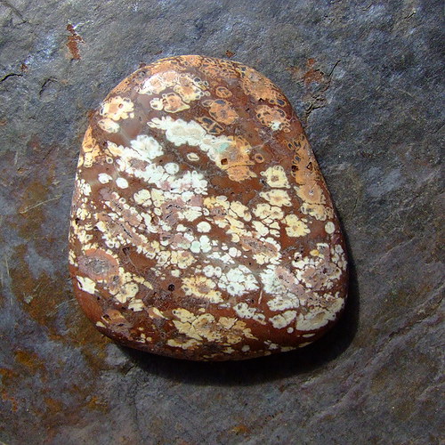 Jaspis Leopardí — foto 2