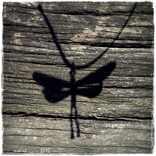 Enebenenebe.....b.... — foto 3