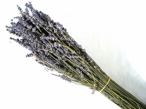 Svazek levandule z Provence — foto 2
