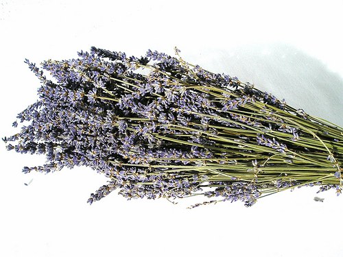 Svazek levandule z Provence — foto 3