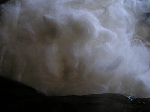 Angora — foto 3