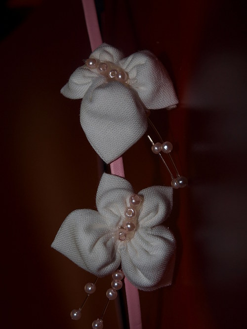 ČELENKA motýlková — foto 2