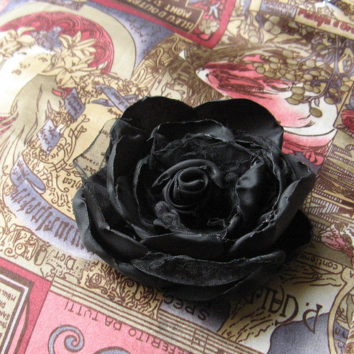 Černá elegance2 — foto 2