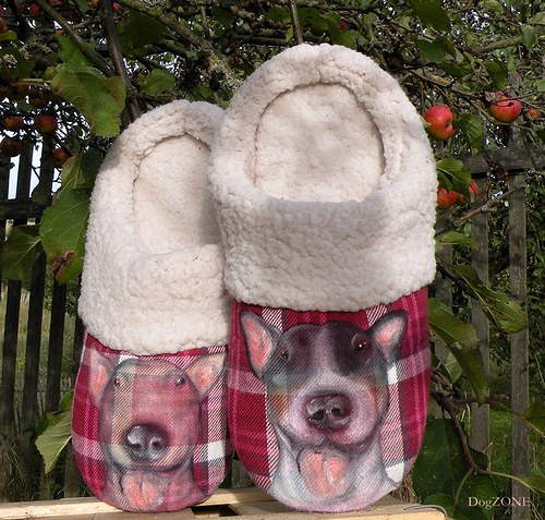 Bullie...bačkůrky — foto 2