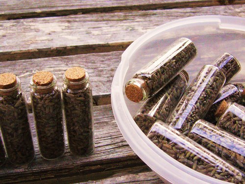 Náhrdelník Dýněčky — foto 6