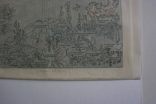 Barevná litografie - prales — foto 3