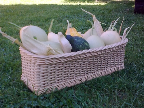 Podzimní truhlík — foto 2