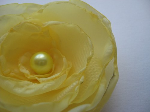 Sunny Rose ®...kolekce Odrůdy růží — foto 2