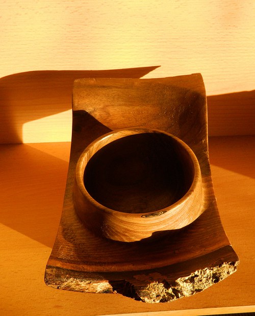 Stín volavky — foto 6