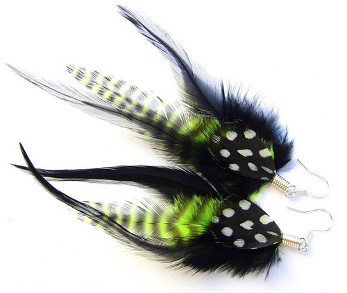 Green Zebra — foto 3