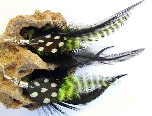 Green Zebra — foto 5