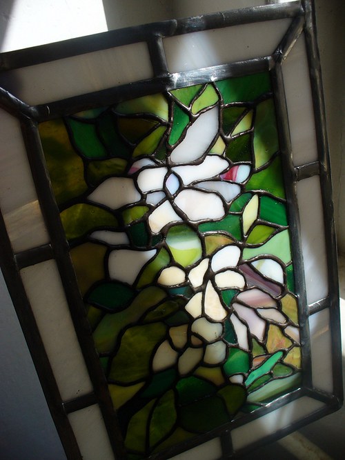 Magnólie — foto 3