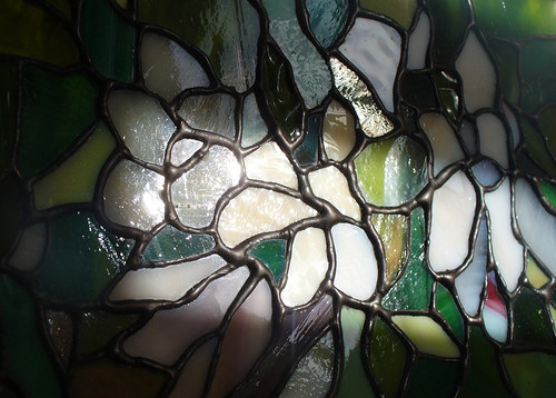 Magnólie — foto 4