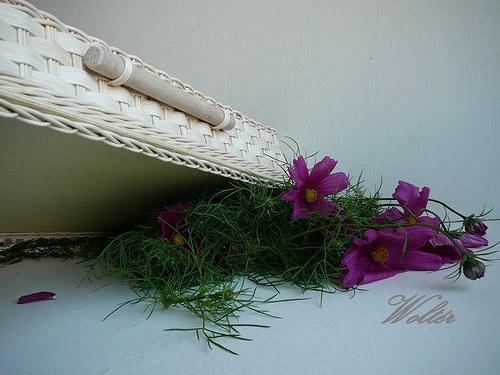 Šuplík do kuchyně — foto 6