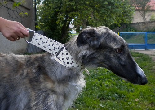 Obojek s monogramem LV - hnedy — foto 6