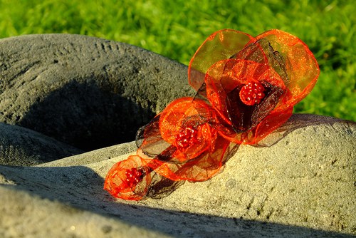 Spona do vlasů: Po stopách Carmen — foto 2