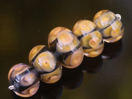 Hydropona — foto 3