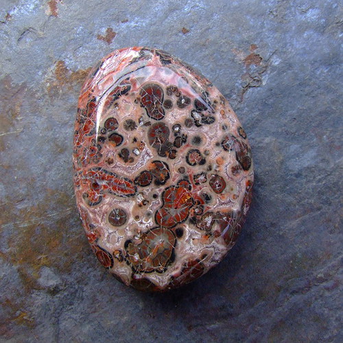Jaspis Leopardí — foto 2